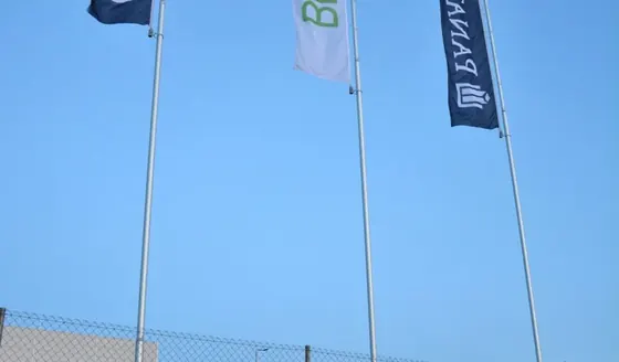 Zestaw masztów flagowych z flagami firmowymi
